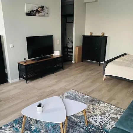 1-bedroom Loft In Siena Tirgus *